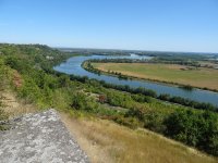 Malause